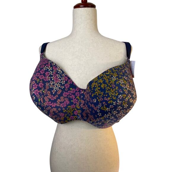 Cacique bra - Picture 1 of 9